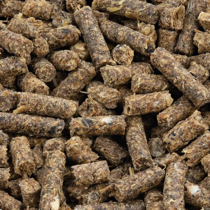 Rising Feed Prices