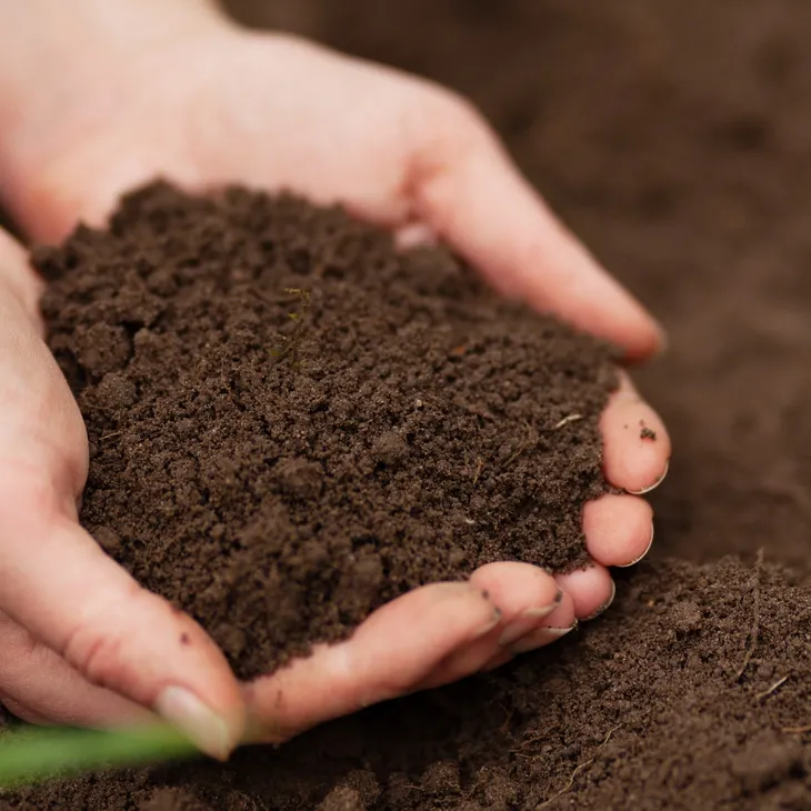 Organic fertiliser for crops