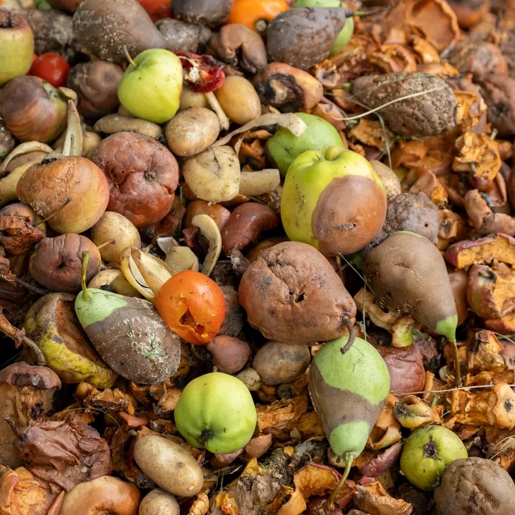 Organic waste management
