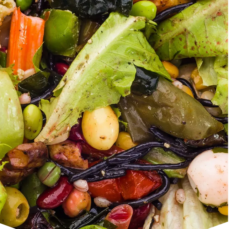 Waste As A Problem